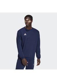 Adidas - Bluza adidas Entrada 22. Kolor: niebieski. Materiał: bawełna, materiał, poliester. Sport: fitness