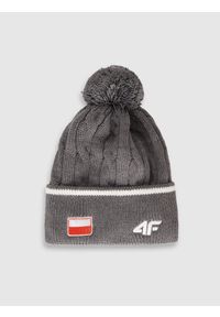 4f - 4F Czapka zimowa z wełną merino uniseks - szara S. Kolor: szary. Materiał: wełna. Wzór: haft. Sezon: zima. Styl: casual, klasyczny, sportowy #1