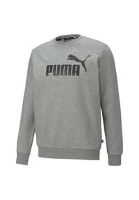Bluza sportowa męska Puma ESS Big Logo Crew FL. Kolor: szary. Materiał: bawełna, materiał. Sport: fitness, joga i pilates #1