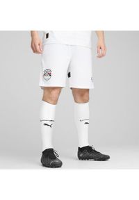Puma - Męskie szorty Egipt 2025 PUMA White Cool Mid Gray. Kolor: szary, biały, wielokolorowy. Sport: piłka nożna