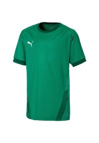 Podkoszulek Puma Teamgoal 23 Jersey Jr, Dzieci. Kolor: zielony. Materiał: jersey