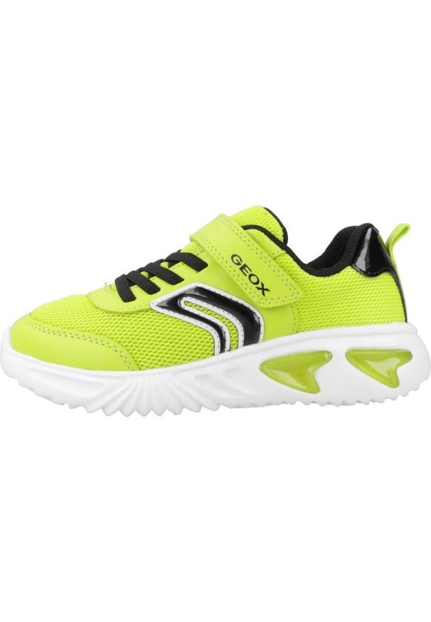 Tenisówki Geox Model J Assister Boy Kolor Zielony. Kolor: zielony. Materiał: tkanina. Sport: turystyka piesza