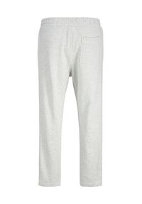Jack & Jones - Jack&Jones Spodnie dresowe Kane Norrebro 12282553 Szary Relaxed Fit. Kolor: szary. Materiał: bawełna
