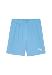Szorty Puma TeamGloal. Kolor: niebieski, biały, wielokolorowy. Materiał: materiał. Sport: piłka nożna #1