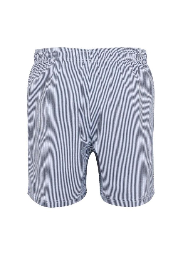 Regatta - Męskie Spodenki Kąpielowe Loras Stripe Seersucker. Kolor: niebieski
