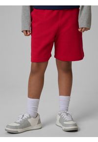 4f - 4F Spodenki dresowe chłopięce - czerwone 146 (10-11 lat). Okazja: na spacer. Kolor: czerwony. Materiał: dresówka. Sezon: lato #2