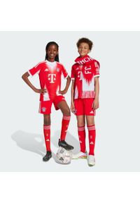 Adidas - Szorty FC Bayern 25/26 Home Kids. Kolor: czerwony. Sport: piłka nożna