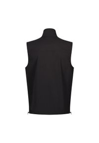 Regatta - Bezrękawnik Męski Łatwy do Spakowania Travel Light. Kolor: czarny. Długość rękawa: bez rękawów. Sport: turystyka piesza #2