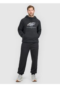 4f - 4F Spodnie dresowe joggery męskie - szare L. Kolor: szary. Materiał: dresówka. Sport: fitness #1