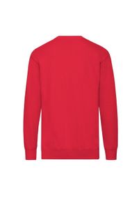 FRUIT OF THE LOOM - Lekka Męska Bluza Z Kapturem. Typ kołnierza: kaptur. Kolor: czerwony