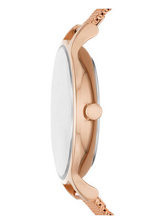 Skagen Zegarek SKW3150 Złoty. Kolor: złoty