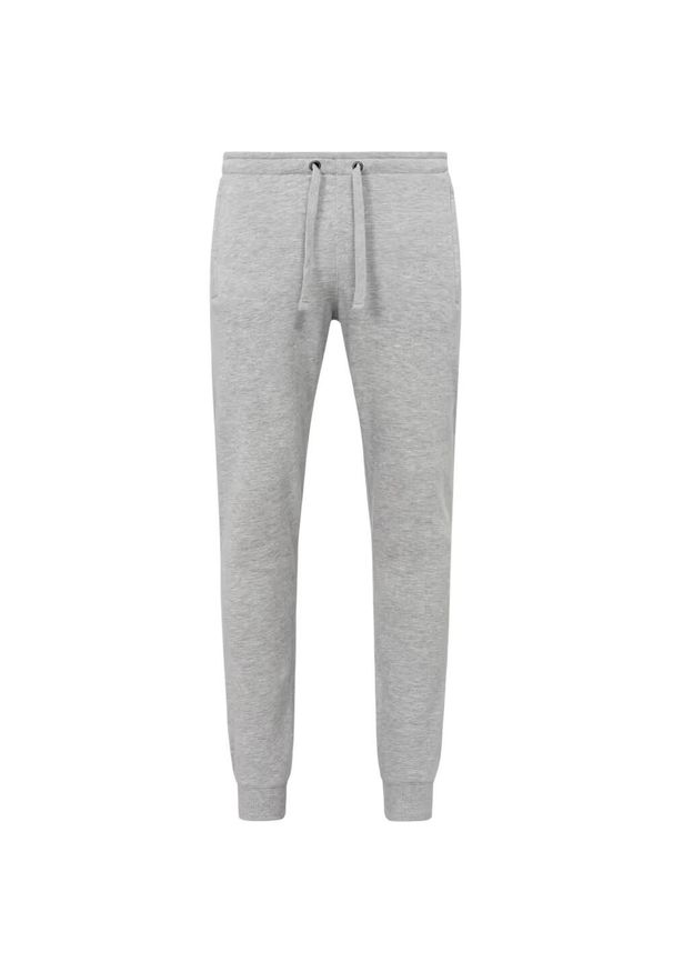 Stedman - Spodnie Do Biegania Dla Dorosłych Unisex Heather Plain Recycled. Kolor: szary