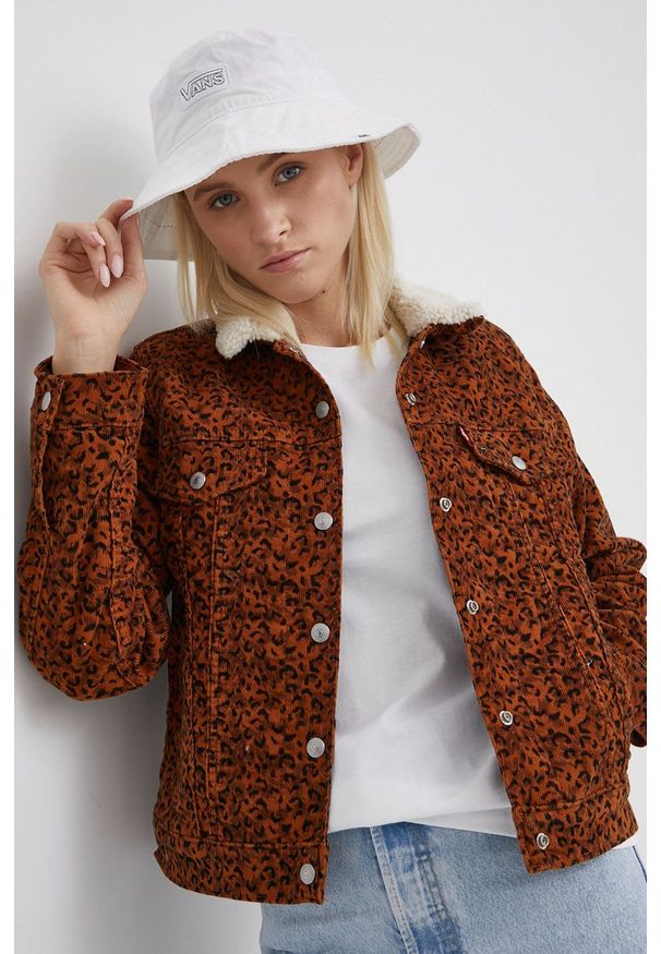 Levi's® - Levi's Kurtka sztruksowa kolor brązowy przejściowa. Okazja: na co dzień, na spotkanie biznesowe. Kolor: brązowy. Materiał: sztruks. Styl: biznesowy, casual