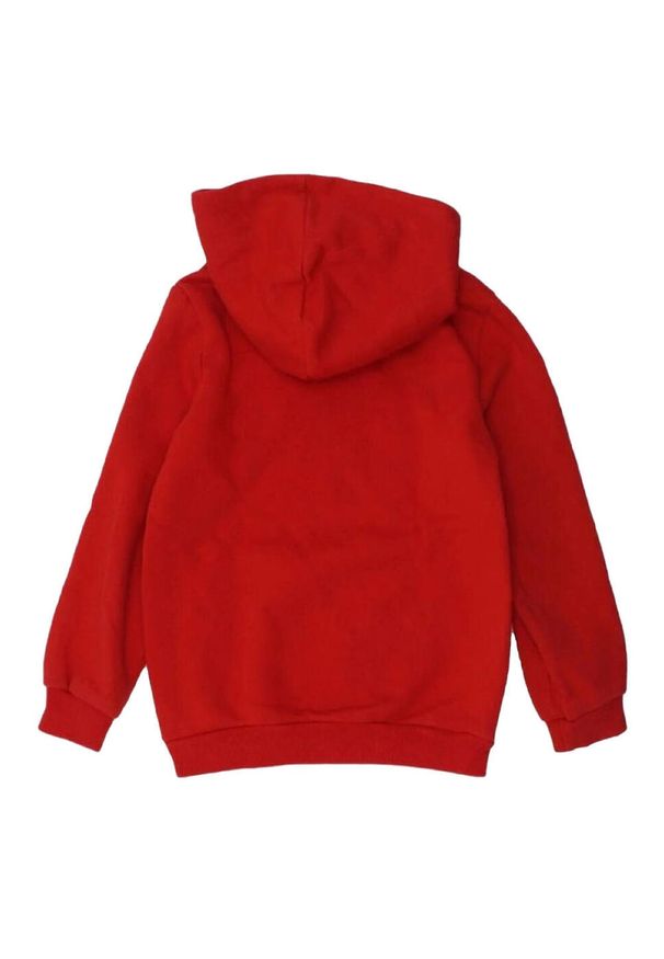 Puma - Bluza Z Kapturem Dct Dla Dzieci. Typ kołnierza: kaptur. Kolor: czerwony