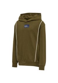 Bluza z kapturem dla dzieci Hummel Ditmer. Typ kołnierza: kaptur. Kolor: wielokolorowy, zielony, brązowy #2