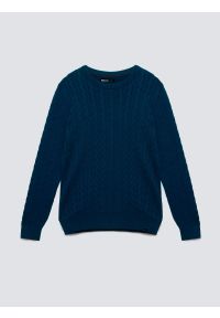 Big-Star - Sweter męski ze splotem warkoczowym granatowy Amaris 403. Kolor: niebieski. Materiał: materiał, dzianina, jeans, bawełna. Wzór: ze splotem. Styl: elegancki, klasyczny