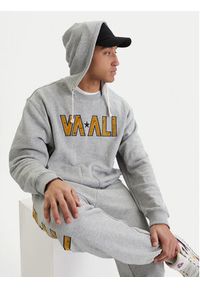 RVCA Bluza Va X Ali 23A413500 Szary Regular Fit. Kolor: szary. Materiał: bawełna #3