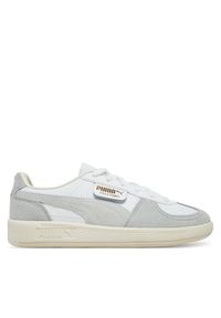 Sneakersy Puma. Kolor: szary #1