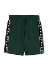 PITBULL - Spodenki męskie Pitbull Track Shorts Powers. Kolor: zielony. Sport: fitness