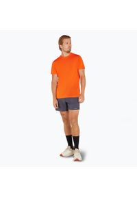 Icebreaker - Koszulka trekkingowa męska icebreaker Merino 125 Cool-Lite Sphere III SS Tee. Kolor: pomarańczowy. Sport: turystyka piesza