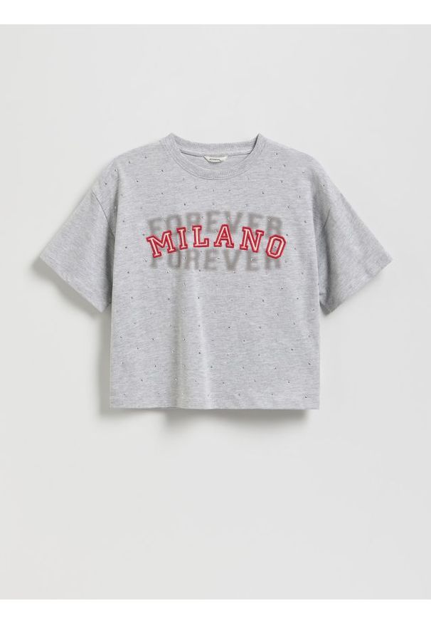 Reserved - T-shirt z aplikacją - jasnoszary. Kolor: szary. Materiał: bawełna. Długość: krótkie. Wzór: aplikacja