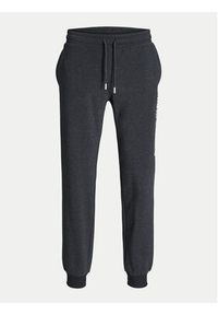 Jack & Jones - Jack&Jones Spodnie dresowe Gordon 12258477 Czarny Regular Fit. Kolor: czarny. Materiał: bawełna, syntetyk #6