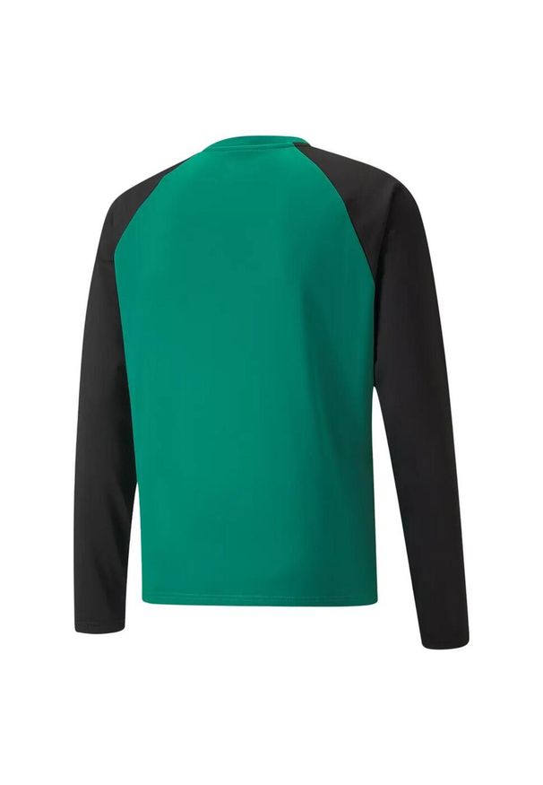 Bluza Puma Teamliga. Kolor: zielony, czarny, wielokolorowy. Sport: fitness
