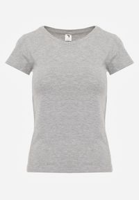 Renee - Jasnoszary T-shirt Ariema. Kolor: szary. Materiał: dzianina. Długość rękawa: krótki rękaw. Długość: krótkie. Wzór: gładki #3