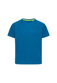Stedman - Koszulka Dziecięca Raglan Active T-shirt. Kolor: wielokolorowy, turkusowy, niebieski. Długość rękawa: raglanowy rękaw