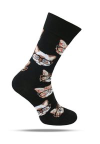 His Story - Tematyczne Skarpetki Bawełniane - Koty w Okularach. Materiał: elastan, bawełna, poliamid #1