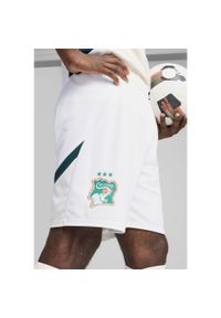 Puma - Męskie szorty Wybrzeże Kości Słoniowej 2025 PUMA White Dark Myrtle Green. Kolor: biały, wielokolorowy, zielony