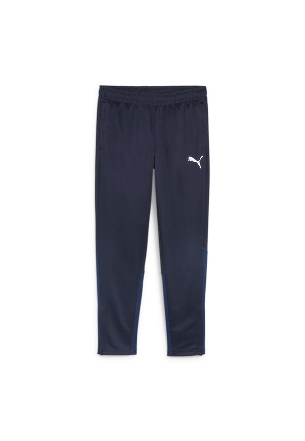 Spodnie męskie Puma Team Goal Training. Kolor: niebieski, wielokolorowy, biały. Sport: piłka nożna