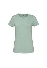 FRUIT OF THE LOOM - Koszulka Damska Iconic 190. Kolor: szary. Sport: turystyka piesza #1