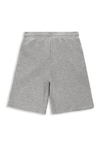 Spodenki sportowe dla dzieci Lemon Explore WL4 do kolan. Kolor: szary. Materiał: bawełna, wiskoza. Długość: do kolan. Styl: sportowy