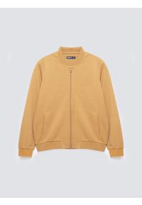 Big-Star - Bluza męska bomber jasnobrązowa Wladorb 803. Okazja: na spacer. Typ kołnierza: kołnierzyk stójkowy. Kolor: brązowy. Materiał: tkanina, materiał, dzianina. Wzór: nadruk. Styl: klasyczny, sportowy