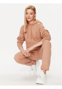 DKNY Sport Bluza DP2T9057 Brązowy Regular Fit. Kolor: brązowy. Materiał: bawełna, syntetyk. Styl: sportowy