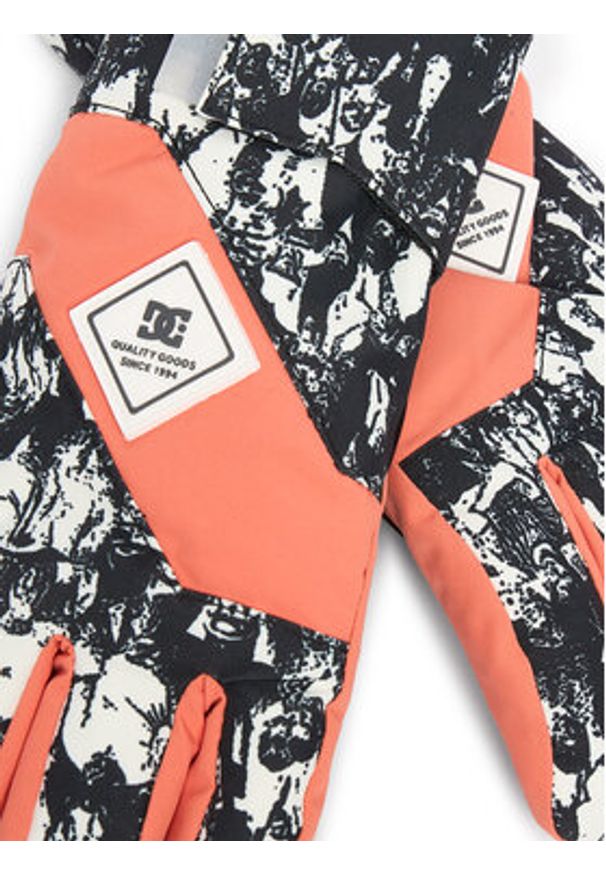 DC Shoes Rękawice narciarskie Franchise ADJHN03015 Kolorowy. Materiał: poliester. Wzór: kolorowy. Sport: narciarstwo