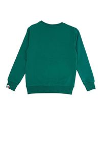 LEONE 1947 APPAREL - Dziecięcy t-shirt Leone College z okrągłym dekoltem. Kolor: zielony. Sport: joga i pilates