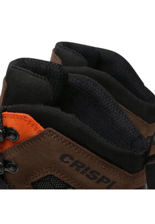Crispi Trekkingi Ascent Evo Gtx GORE-TEX CF11004207 Brązowy. Kolor: brązowy. Materiał: zamsz, skóra. Technologia: Gore-Tex. Sport: turystyka piesza