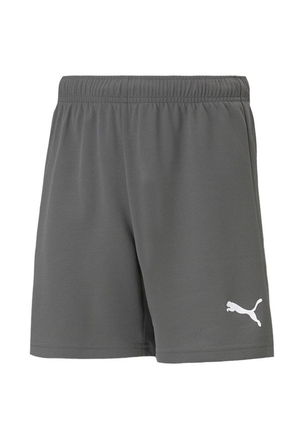 Puma - Spodenki TeamRISE Dla Dzieci. Kolor: szary