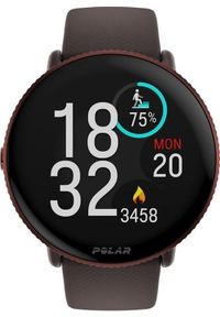 POLAR - Smartwatch Polar Polar Ignite 3 Titanium Brown 900110028. Rodzaj zegarka: smartwatch. Materiał: polar