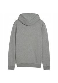 Puma - Męska Bluza Z Kapturem Team Goal Casual Full Zip. Typ kołnierza: kaptur. Kolor: szary
