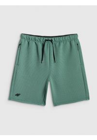 4f - 4F Spodenki treningowe szybkoschnące męskie - turkusowe S. Kolor: turkusowy. Materiał: materiał, włókno. Sport: fitness #1