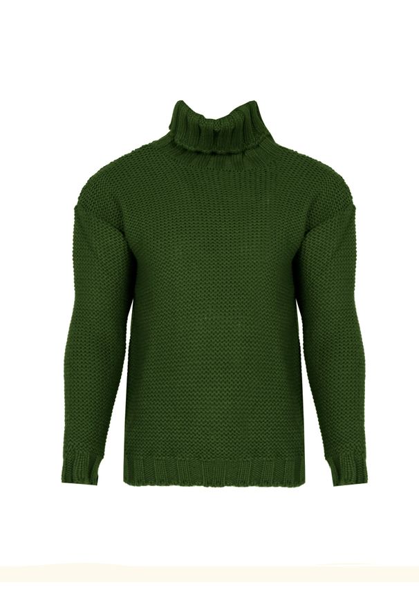 La Haine Inside Us Sweter "Turtleneck" | LM278 | Mężczyzna | Zielony. Okazja: na co dzień. Typ kołnierza: golf. Kolor: zielony. Materiał: wełna, poliester. Wzór: jednolity. Styl: casual, elegancki