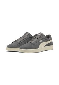 Puma - Sneakersy Smash 3.0 PUMA Cool Dark Gray Warm White. Zapięcie: sznurówki. Kolor: biały, wielokolorowy, szary. Materiał: skóra, zamsz, materiał. Szerokość cholewki: normalna. Sport: tenis, turystyka piesza
