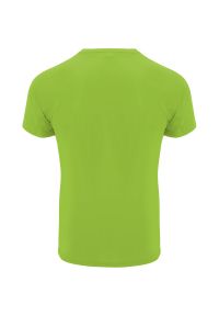 ROLY - T-shirt Dziecięca Sportowy Bahrain. Kolor: zielony, wielokolorowy, żółty