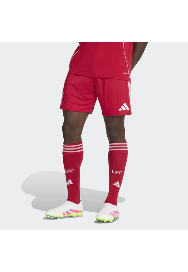 Adidas - Spodenki podstawowe Liverpool FC 25/26. Kolor: czerwony. Sezon: lato. Sport: piłka nożna