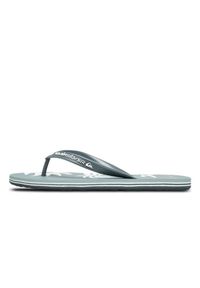 Quiksilver - Klapki dla Mężczyzn MOLOKAI SCREEN. Okazja: na plażę. Kolor: zielony. Materiał: guma, syntetyk, materiał. Styl: sportowy