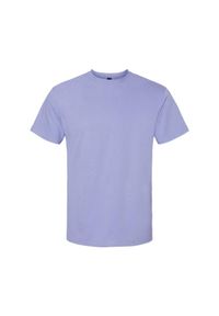 GILDAN - Koszulka Unisex Dla Dorosłych Softstyle Midweight. Kolor: fioletowy. Materiał: bawełna. Sport: turystyka piesza
