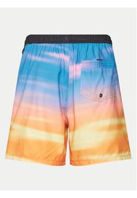 Quiksilver Szorty kąpielowe Everyday Fade Volley AQYJV03134 Kolorowy Regular Fit. Materiał: syntetyk. Wzór: kolorowy #3